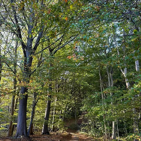 With View Of Ebeltoft Bay Σπίτι διακοπών